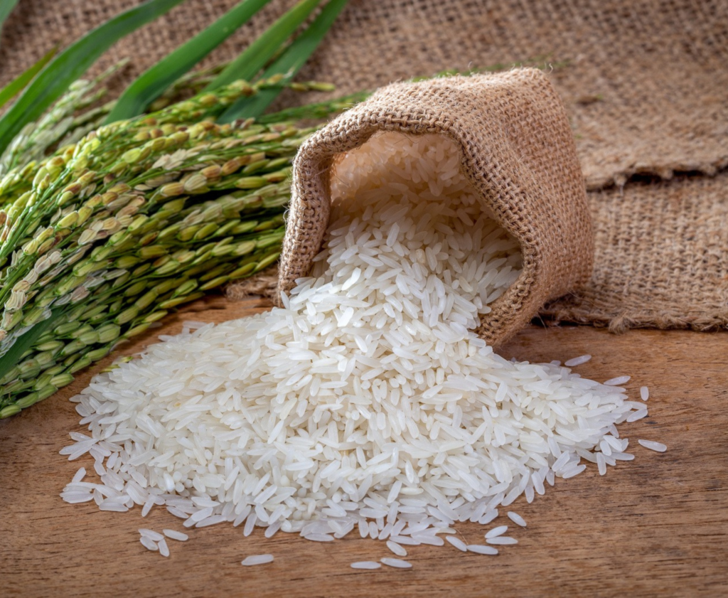Basmati Rice