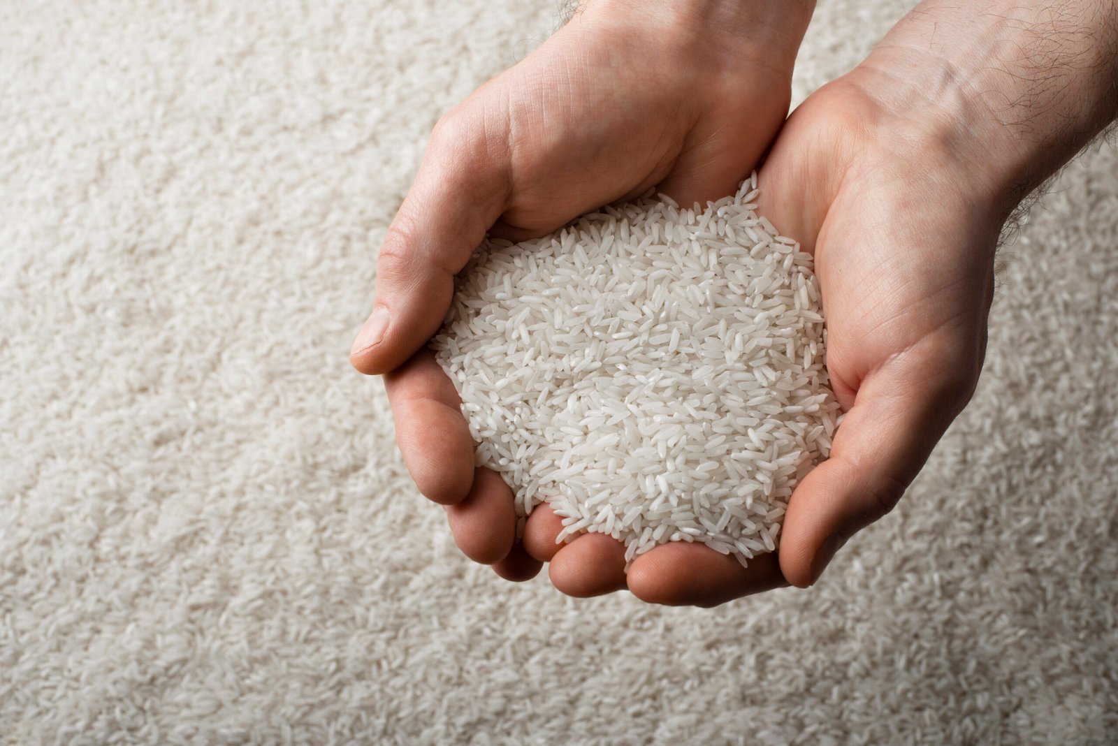 human hands holding handful of rice plain rice background