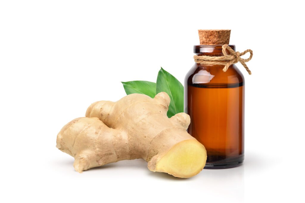 ginger essential oil extract with rhizome leaves isolated white