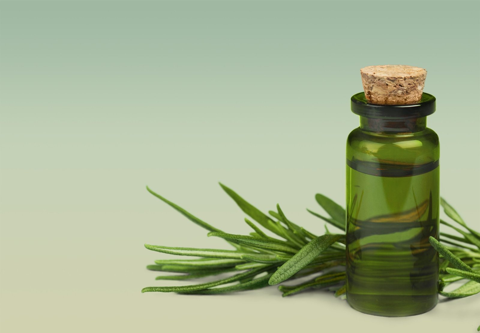 herbal oil in bottle